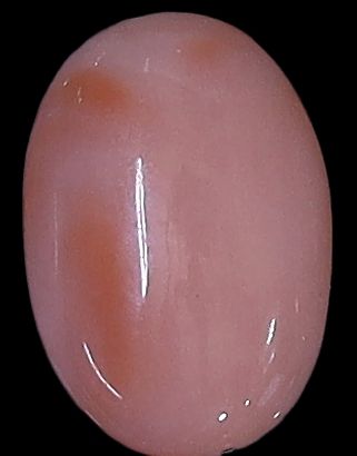 Deepsea Coral Oval Cabochon