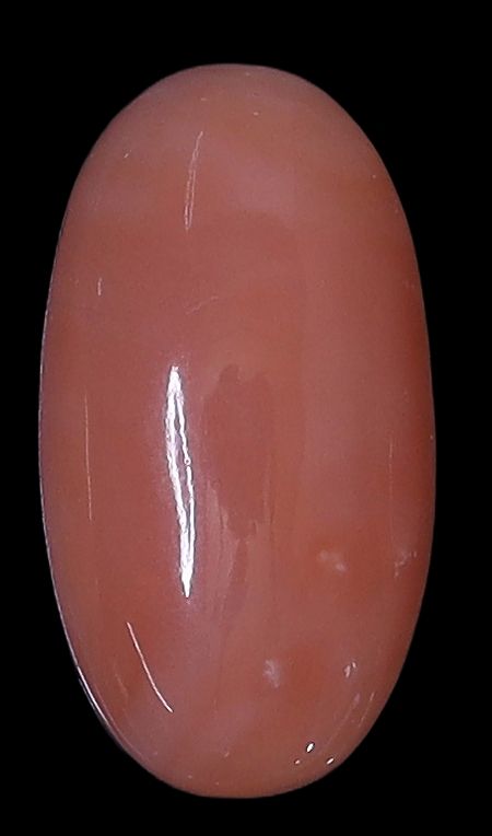 Deepsea Coral Oval Cabochon
