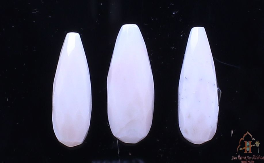 Multifaceted White Coral