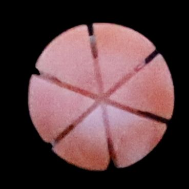 Pink Coral Patel