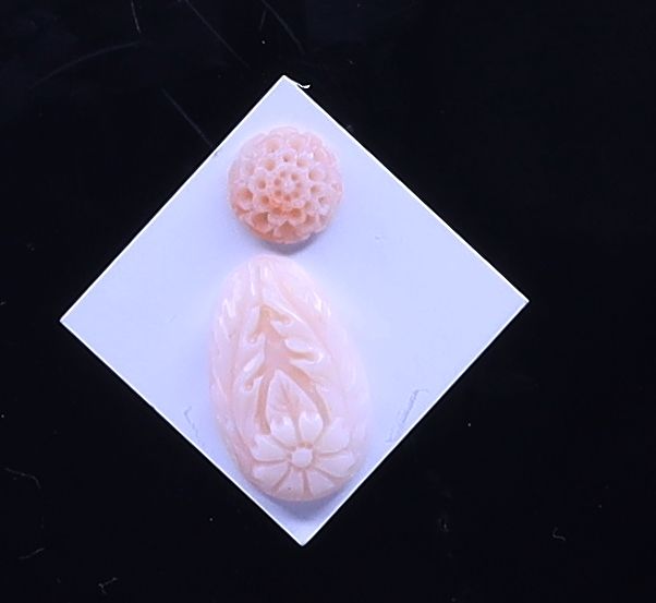White Coral Patels
