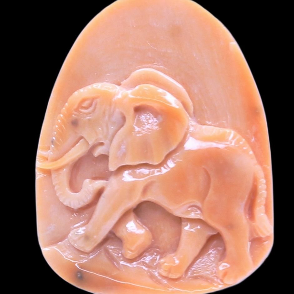 Coral Animal Carving