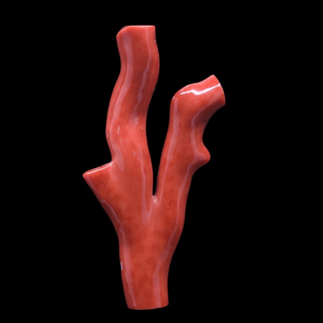 Polished Raw Branch