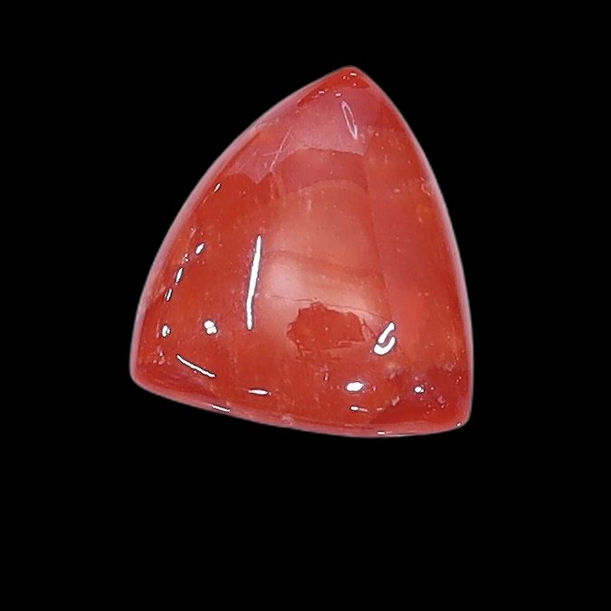 Coral Triangle Shape Cabochon
